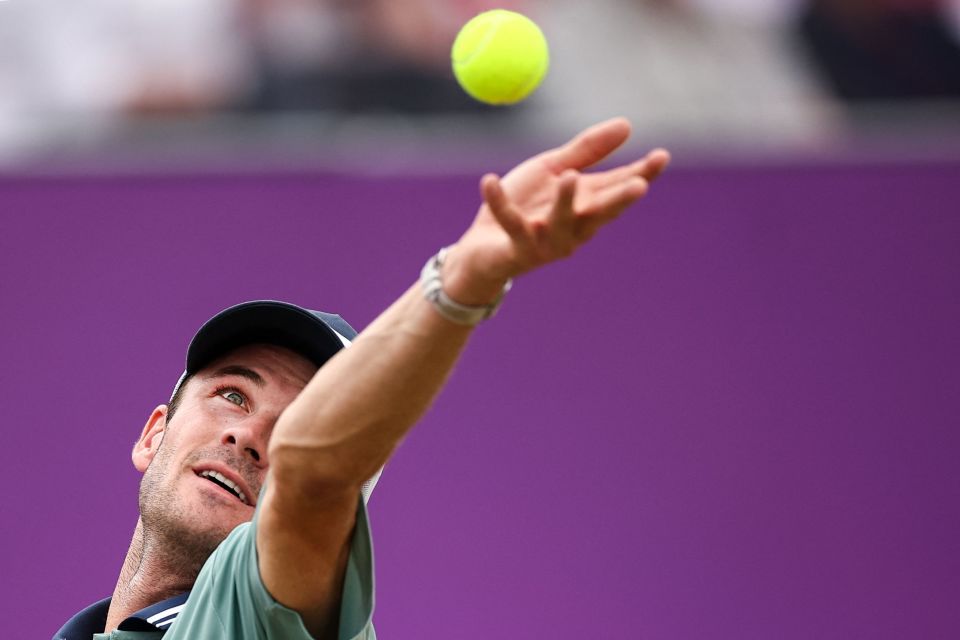 门板木纹 门板木纹